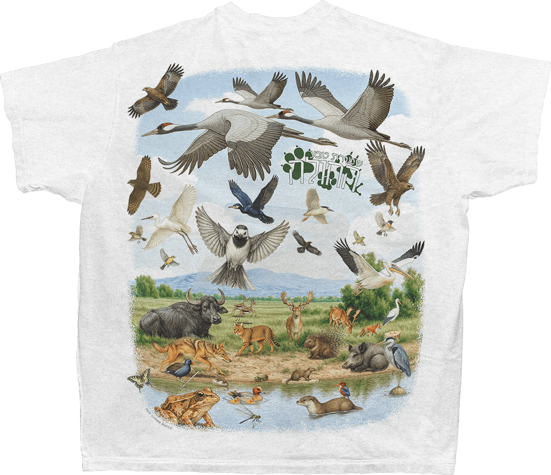 עמק החולה front